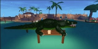 Gambar Product Crocodile