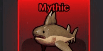 Gambar Product Hybodus Shark