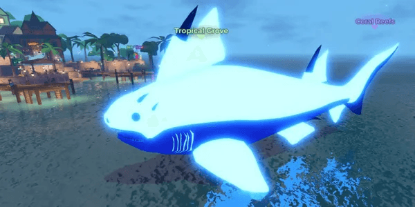 Hybodus Shark