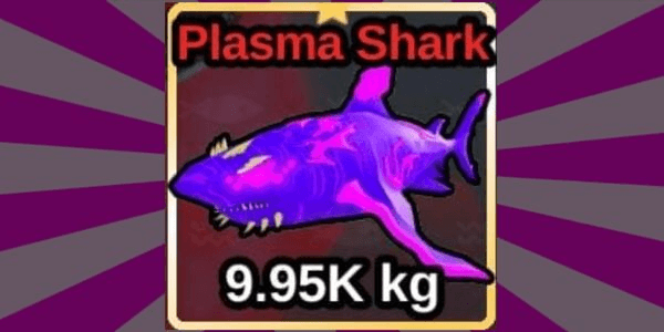 Gambar Product Plasma Shark