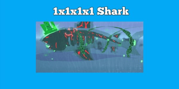 Gambar Product 1x1x1x1 Shark