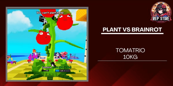 Gambar Product Huge Tomatrio 10kg