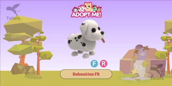 Gambar Product Dalmatian