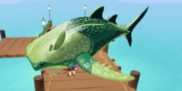 Gambar Product Flatheaded Whale Shark