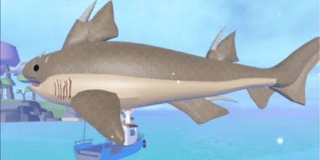 Gambar Product Hybodus Shark
