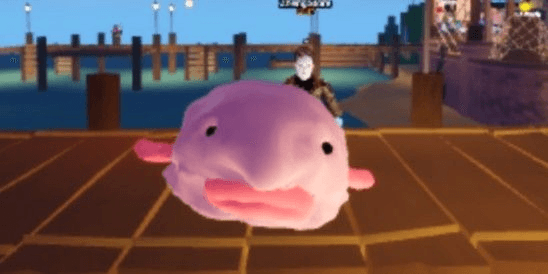 Gambar Product Big Blob Fish