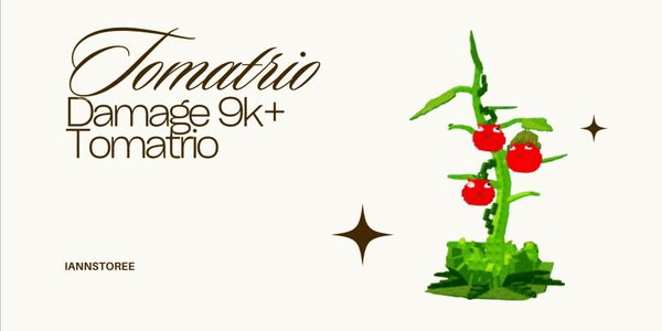 Gambar Product Tomatrio