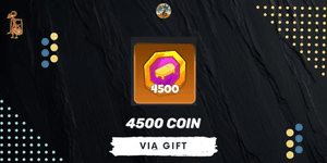 4500 Coin