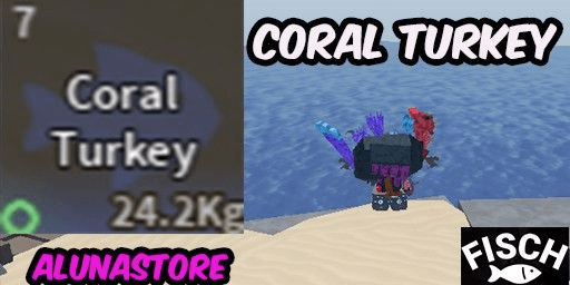Gambar Product Coral Turkey - Fisch - RBL