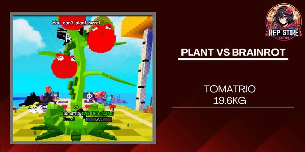 Gambar Product Titanic Tomato 19.6kg