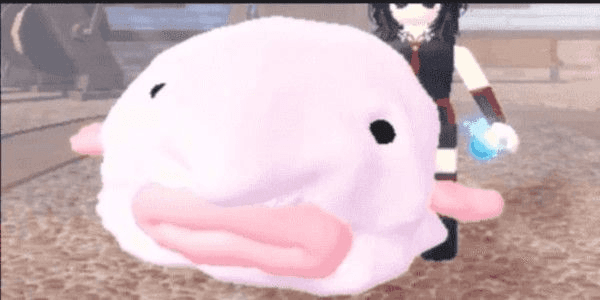 Gambar Product Blob Fish