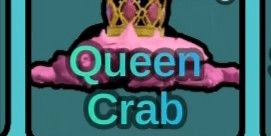 Gambar Product Queen Crab