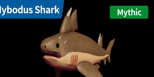 Gambar Product Hybodus Shark