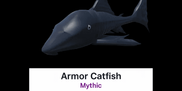 Armor Catfish