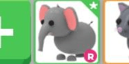 Gambar Product Elephant