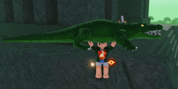 Gambar Product Crocodile