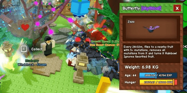 Gambar Product Butterfly (Grow A Garden)