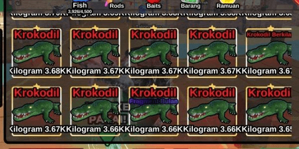 Gambar Product Crocodile