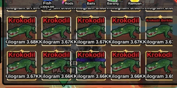 Crocodile