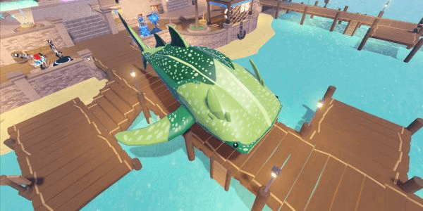 Gambar Product Flatheaded Whale Shark