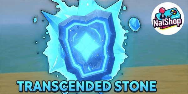 Gambar Product Transcended Stone