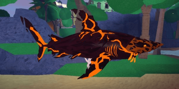 Gambar Product Magma Shark