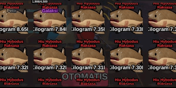 Gambar Product Hybodus Shark