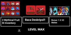 AKUN LEVEL MAX [2 MYTHICAL FRUIT IN INVENTORY] - BLOX FRUITS