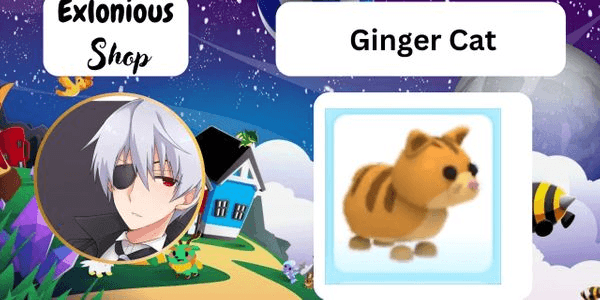 Gambar Product Ginger Cat