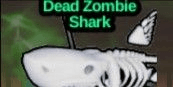 Gambar Product Dead Zombie Shark