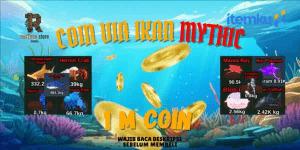 1M Coins