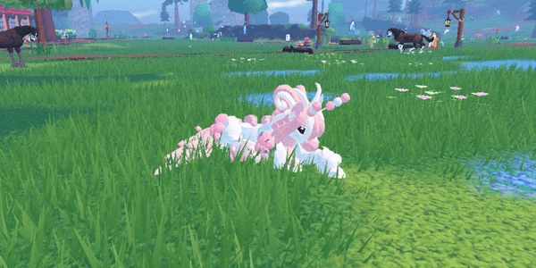 Gambar Product Little Pastrequine