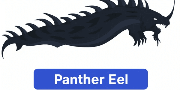 Panther Eel
