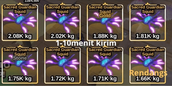 Gambar Product Sacred Guardian Squid