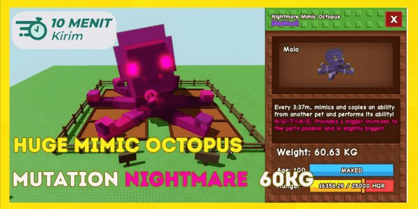 Gambar Product Mimic octopus huge 60kg max age