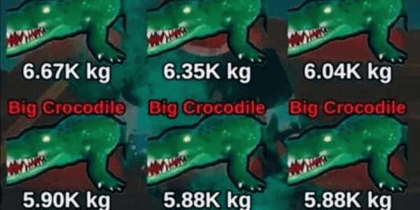 Gambar Product Crocodile