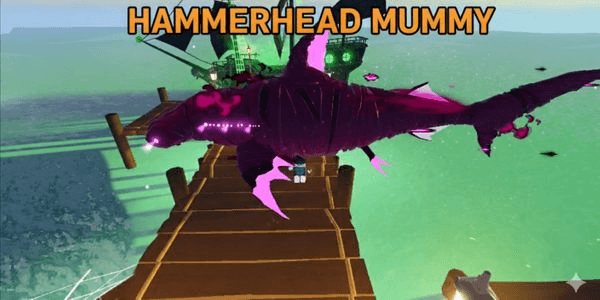 Gambar Product Hammerhead Mummy