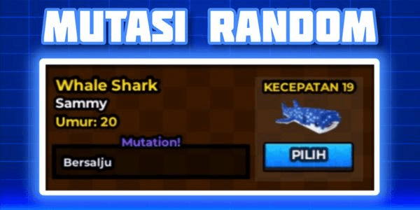 Gambar Product Whale Shark