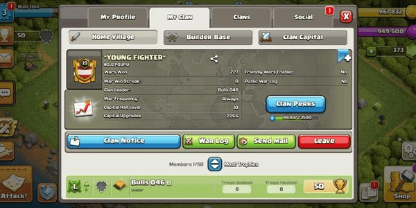 Gambar Product CLAN LEVEL 19 COOL NAME CAPITAL CITY LEVEL 10