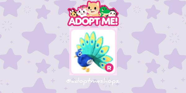 Gambar Product Peacock