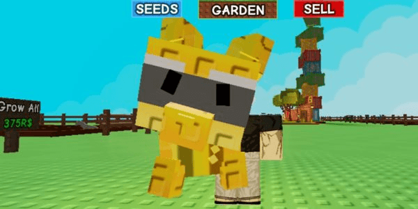 Gambar Product Golden racoon max age discount!!