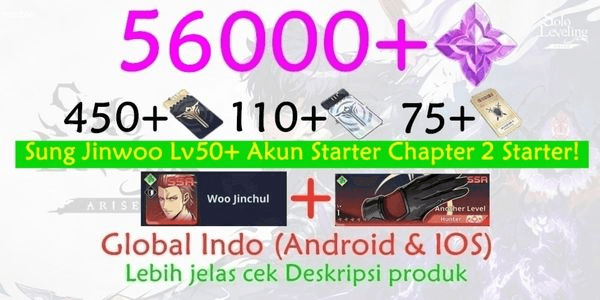 Gambar Product Akun Timbunan solo leveling arise-1