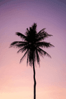 seller-image