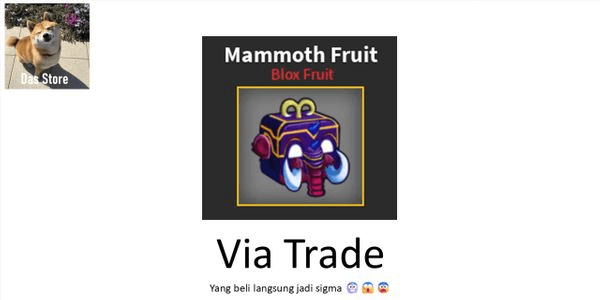 Gambar Product Mammoth