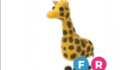 product-image-0