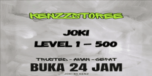 Joki level 1 - 500 (per level)