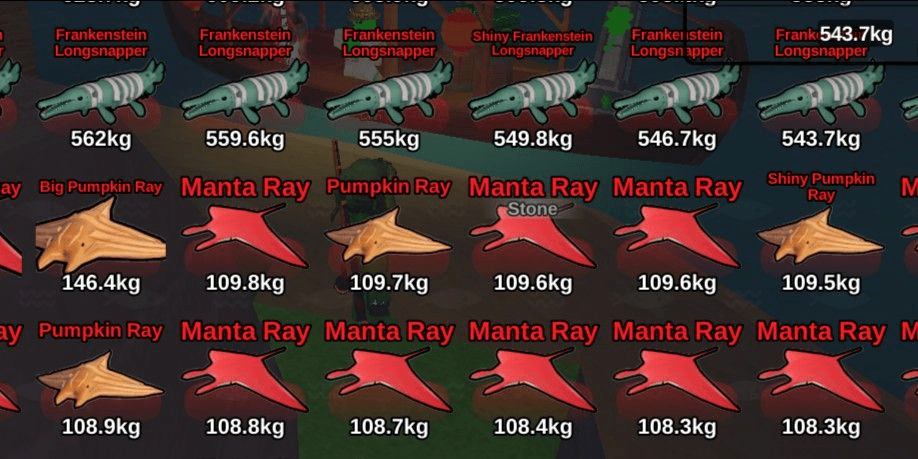 Product Showcase