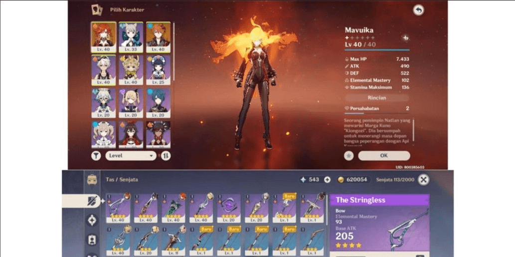Product Showcase