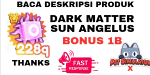228q++ DARK MATTER SUN ANGELUS