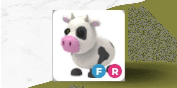 Gambar Product Cow